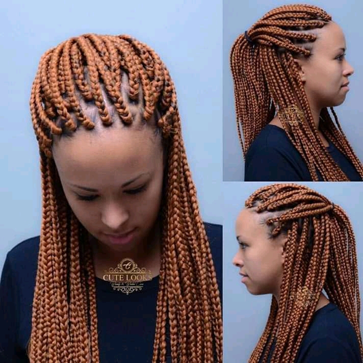 Braided Hairstyles for 2023 Women - Reny styles